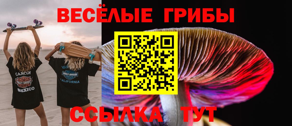 Псилоцибиновые грибы MAGIC MUSHROOMS  Вход с VPN  сколько стоит  Кандалакша  Галлюциногенные грибы Magic Shrooms 