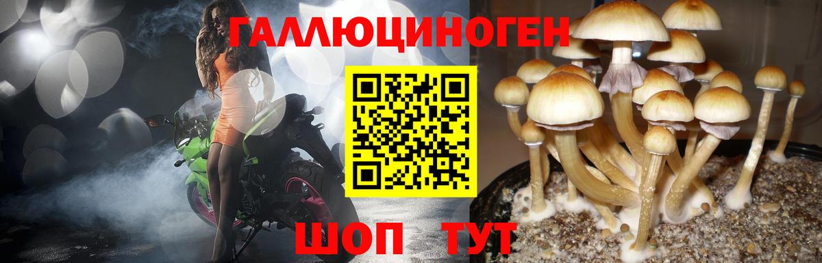Псилоцибиновые грибы Magic Shrooms Кандалакша